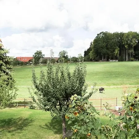 Naturidyl Schneckenbuch