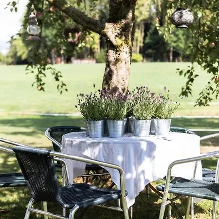 Naturidyl Schneckenbuch